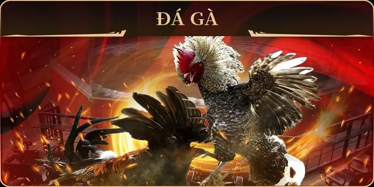 Khám Phá Cách Chơi Đá Gà GA28 Tại Fafa191 Cực Đỉnh Cho Kê Thủ